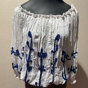Sheer lightweight blouse with blue embroidery.